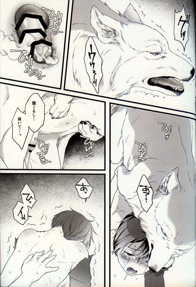 【エロ同人 SAO】魂を複製されたキリトが狼の姿になったユージオと再会して激しい獣姦からケモミミになってイチャラブに…！【無料 エロ漫画】 (20)
