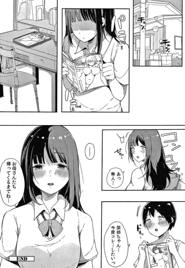 弟が男友達とエロ本を見ているのを見つけて興奮してオナニーを【エロ漫画】_(227)