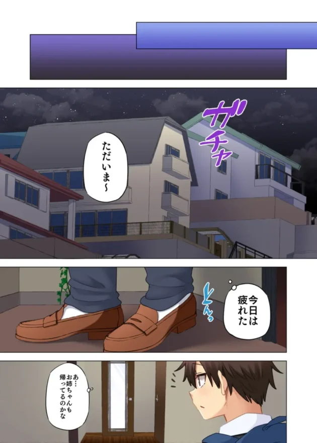 【エロ同人】お姉ちゃんの忘れ物を届けに来たハズなのに…9【エロ漫画 無料】_fagshjt (52)